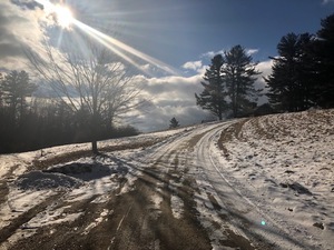 MacDowell Colony Fellow January 2019
